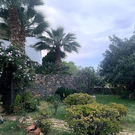 Ammoudi Hideaway Daire Ayos Nikolaos Dış mekan fotoğraf